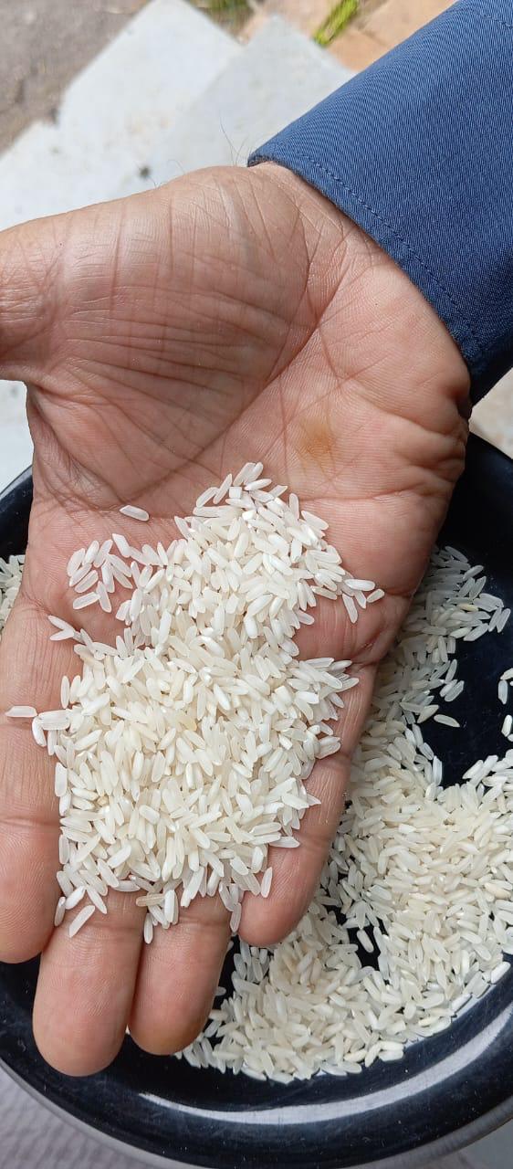 WhatsApp Image 2025-07-08 at 11.48.10 AM.jpeg